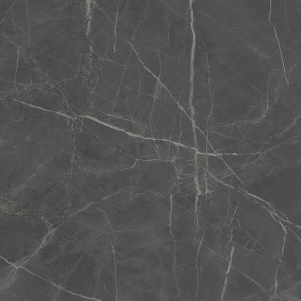 Керамогранит Kerama Marazzi SG642900R Буонарроти серый темный обрезной 600x600 мм, Темно-серый
Керамогранит Kerama Marazzi SG642900R Буонарроти серый темный обрезной 600x600 мм, Темно-серый