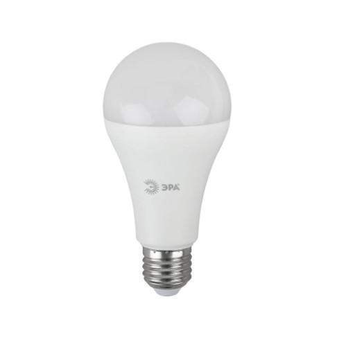 Купить Лампа светодиодная Эра Б0048011 E27 25 Вт 6500 К