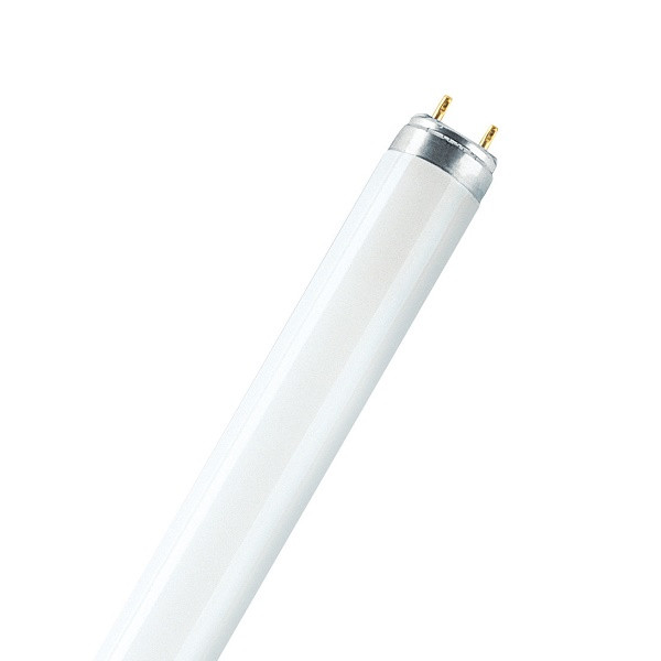 Купить Лампа люминесцентная Osram Lumilux 18W/840 18 Вт T8 4000К G13