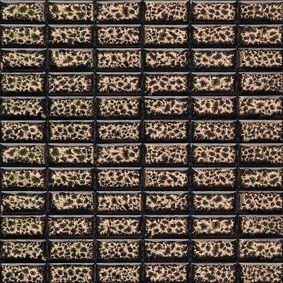 Мозаика керамическая Gaudi Brick-5(4)