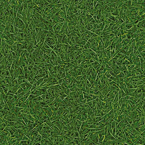 

Линолеум бытовой IVC Neo Grass 25 4х30 м, Зеленый