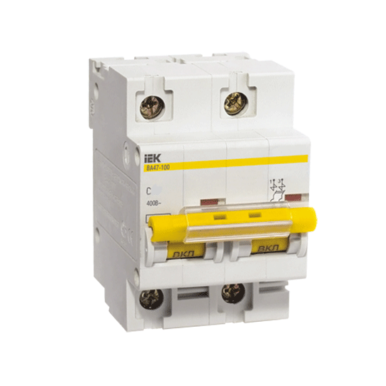 

Автоматический выключатель IEK ВА47-100 2Р 25А С, Белый