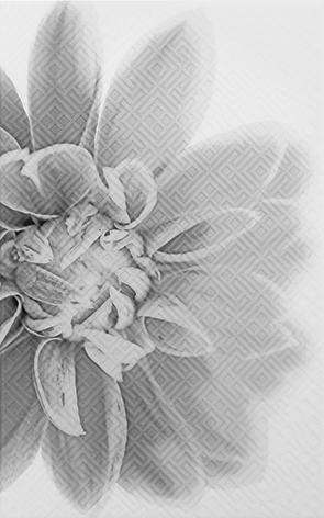 

Декор для плитки Шахтинская плитка Камелия 03 черный 25х40 см, Черно-белый