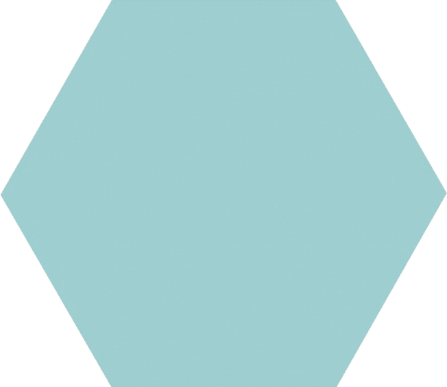 

Kerama Marazzi Линьяно 23027 20х23.1 см, плитка напольная (бирюзовая), Бирюзовый